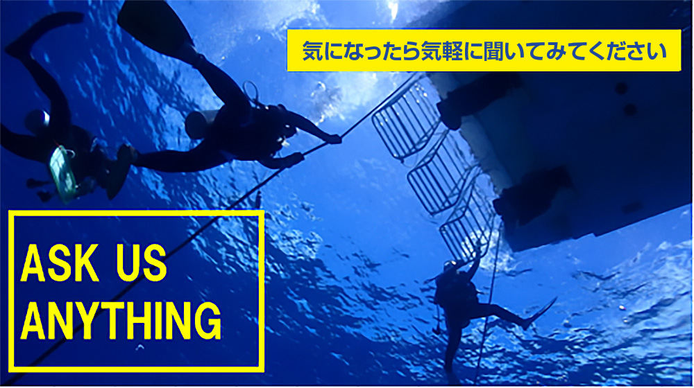 気になったら気軽に聞いてみてください。ask us anything