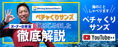 ぺちゃくりサンズ