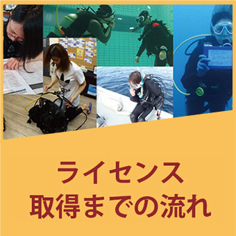 ライセンス取得の流れ
