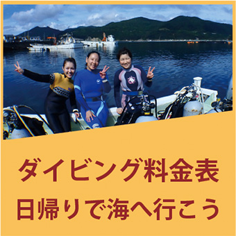 料金
