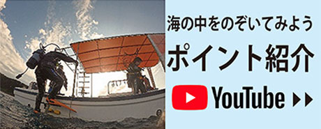 ダイビングポイント紹介